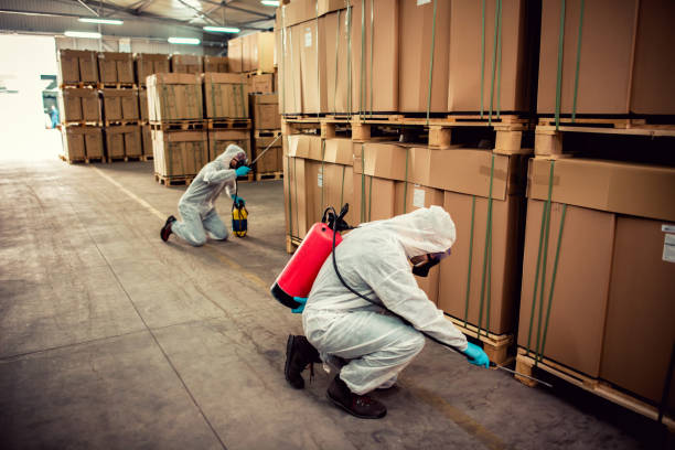 Best Exterminator Services  in Morris, AL