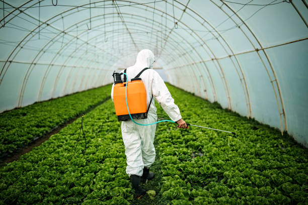 Best Mosquito Control Services  in Morris, AL