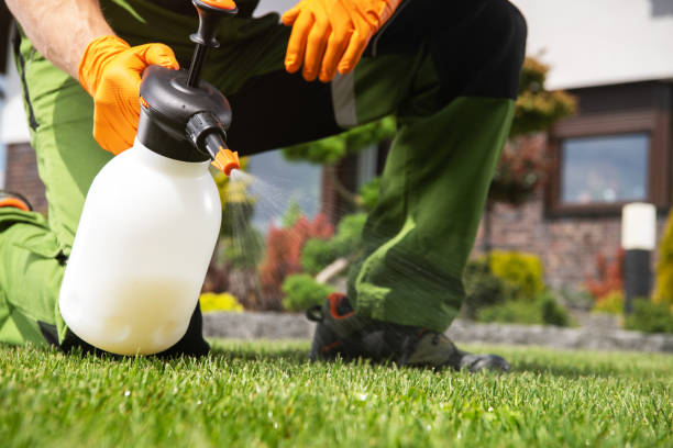 Best Affordable Exterminators  in Morris, AL