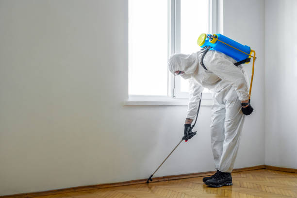 Best Pest Control for Businesses  in Morris, AL
