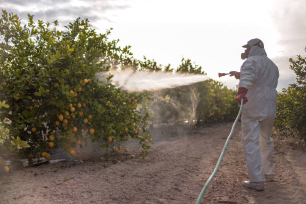 Best Best Pest Control Companies  in Morris, AL