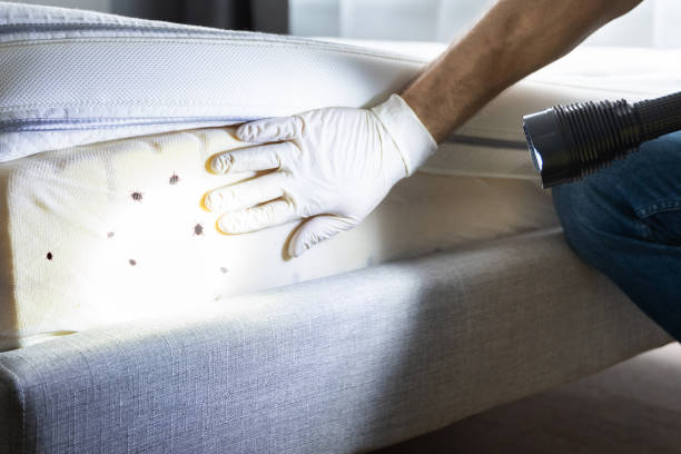 Best Affordable Pest Control Services  in Morris, AL